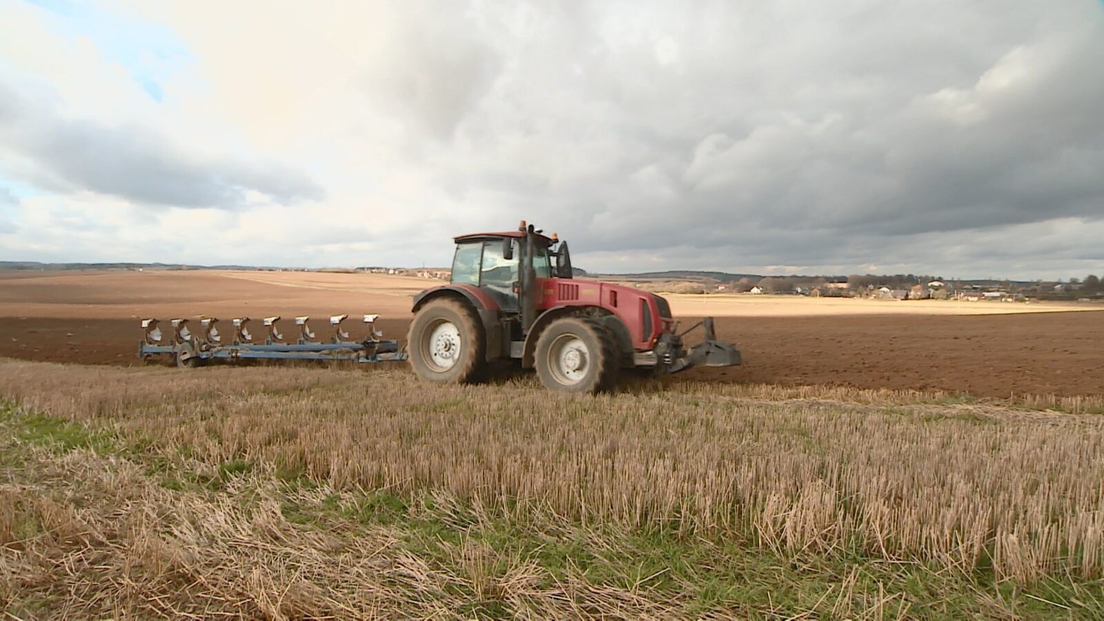 З початку року агровиробництво в Україні зросло на 13%