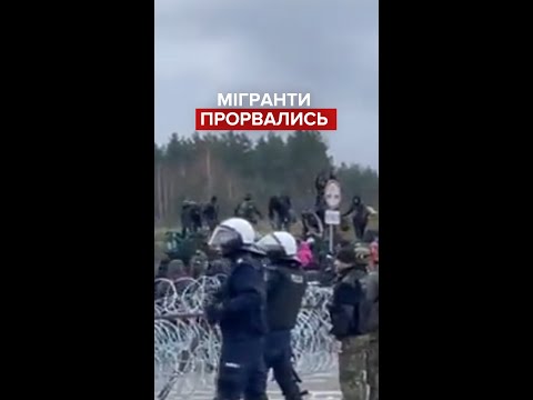 Мігранти прорвались з Білорусі через польський кордон
