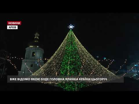 Якою буде головна ялинка країни на Новий рік 2022