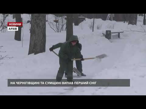 В Україні випав перший сніг