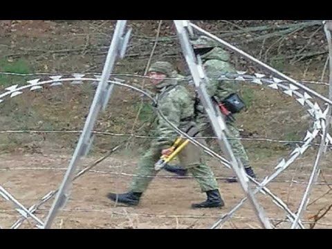 Провокації на кордоні Польщі: білоруські силовики погрожують стріляниною