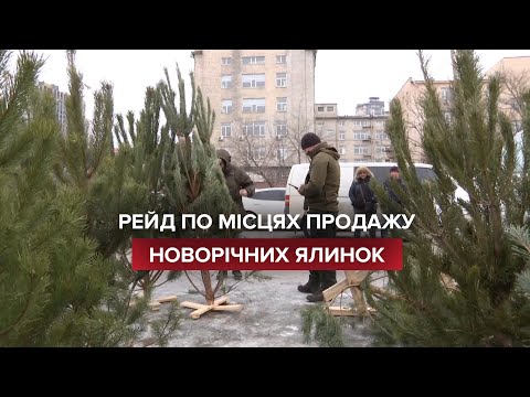 У Києві відбувся рейд на місцях продажу новорічних дерев