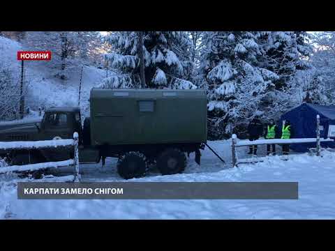 У Карпати прийшла справжня зима