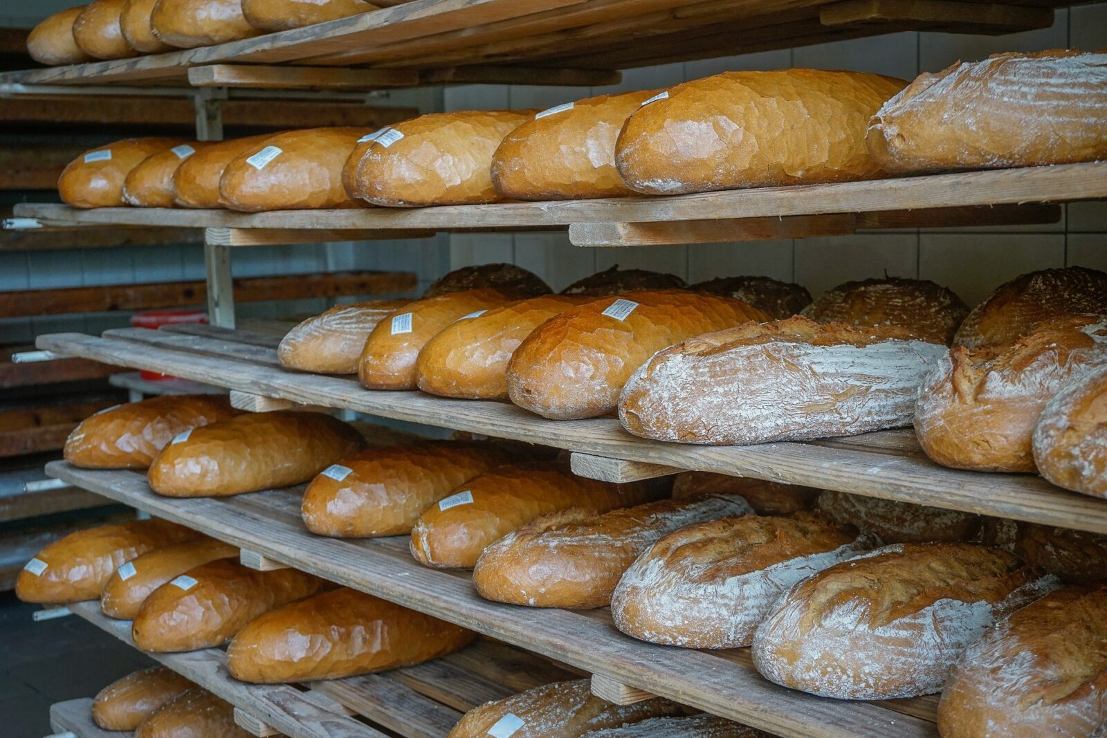 Виробники хліба просять владу забезпечити їм доступ до пільгового газу