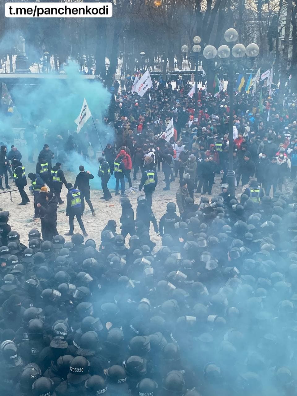 ФОПівці побилися із поліцією – проривалися в Раду (відео)