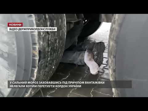 На Одещині нелегали ховалися під причепом вантажівки