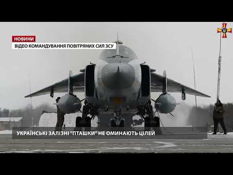 Як працюють українські залізні “пташки” на військових навчаннях