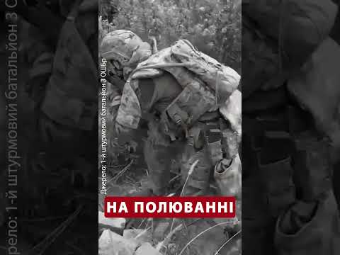 Подивіться на наших ХОРОБРИХ ВОЇНІВ