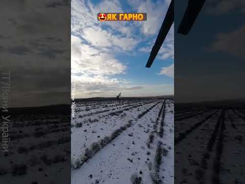 Неймовірні кадри НАШИХ пташок