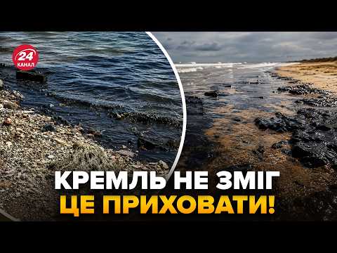 😱Просто ЗАРАЗ! У Криму АПОКАЛІПСИС: ТОННИ мазуту у берегів РФ. Росіяни ЗЛИЛИ ВІДЕО